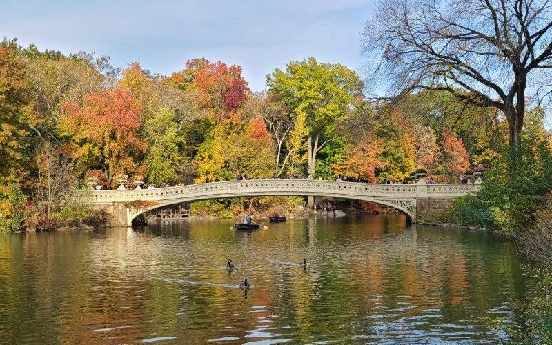 Bow Bridge in the Fall