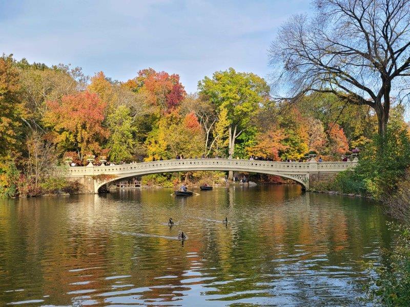 Bow Bridge in the Fall