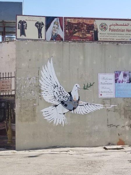 Armored Dove in the West Bank