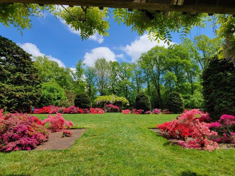 Garden in full bloom