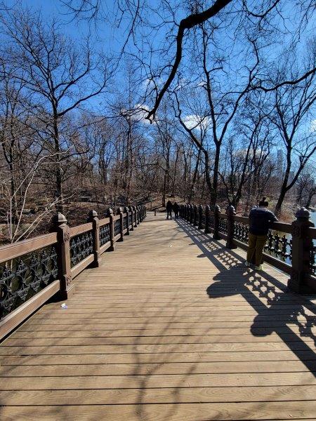 Oak Bridge