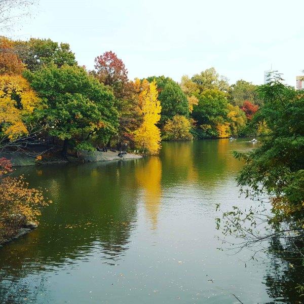 Central Park in different seasons