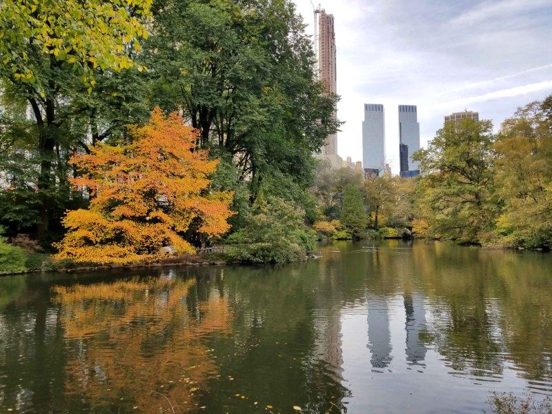 New York Skyline behind fall colors 