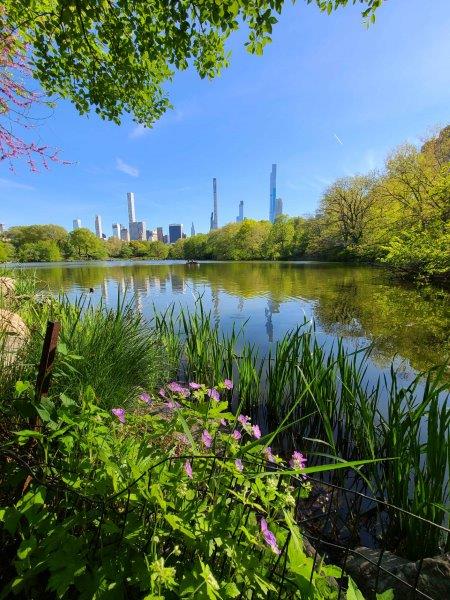 New York skyline across the Central Park lake