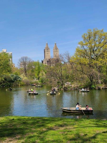 Boats in Central Park Lake in the summer