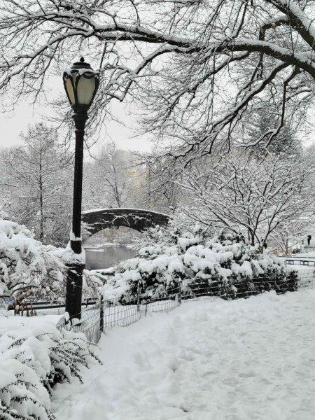 Park all covered in snow after a snowfall