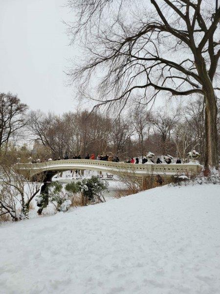 Bow Bridge full of people after a snowfall