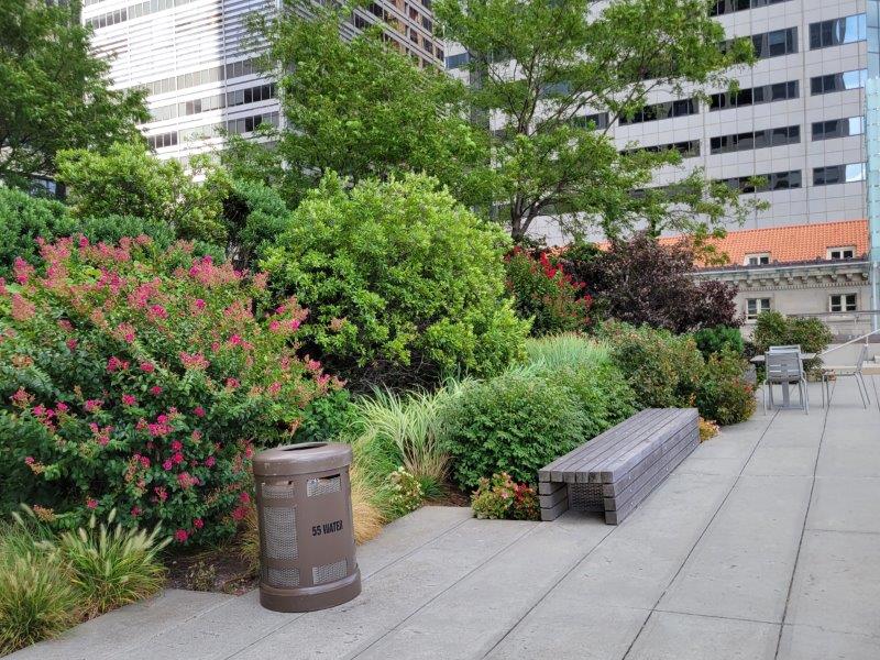 Benches at the garden