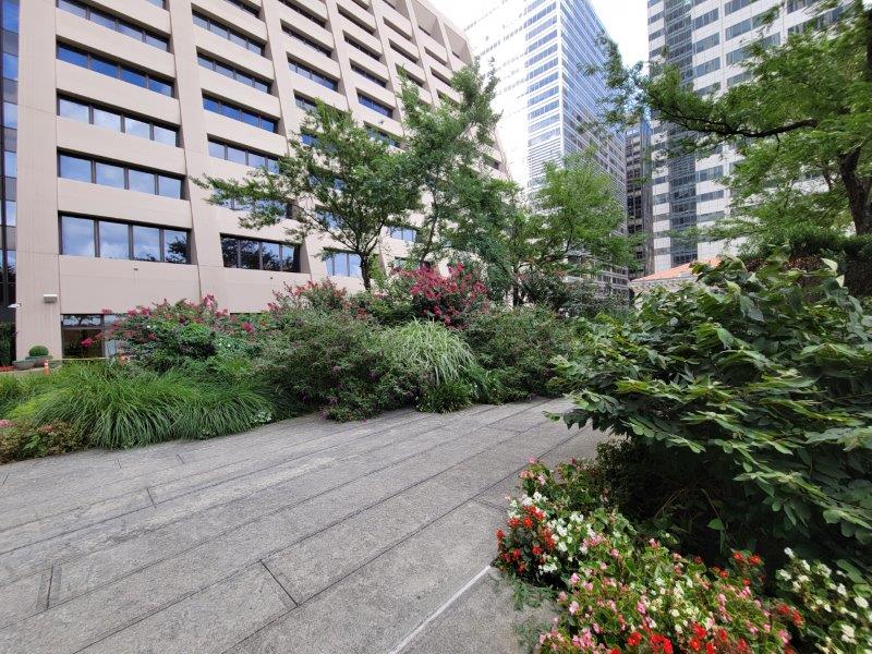 Walkways surrounded by shrubs, plants and trees