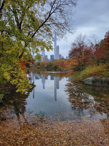 Central Park in the fall 