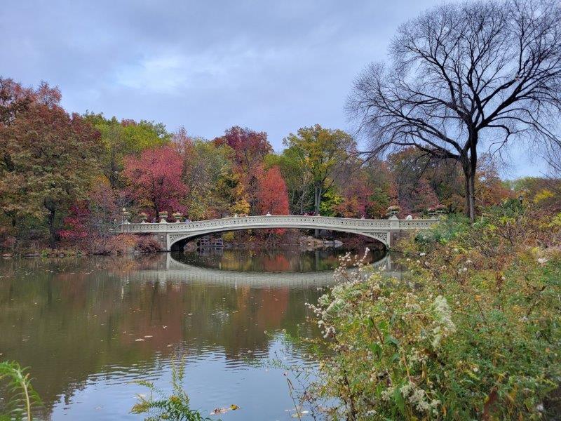 Bow Bridge 