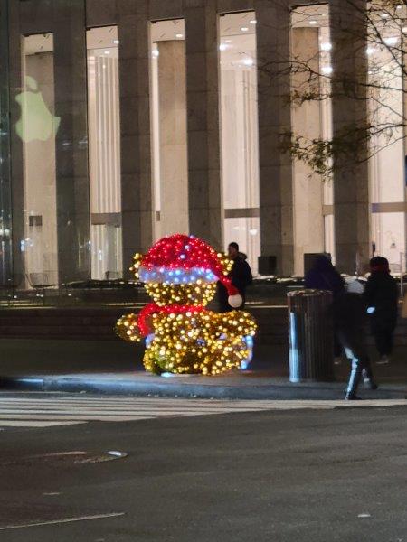 Teddy bear with a Santa hat