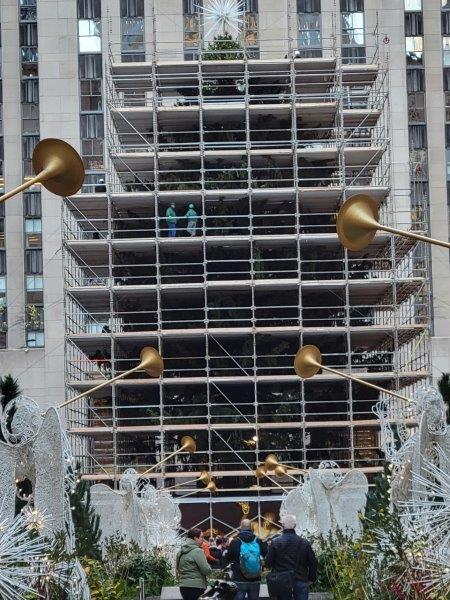 Scaffolding around the tree