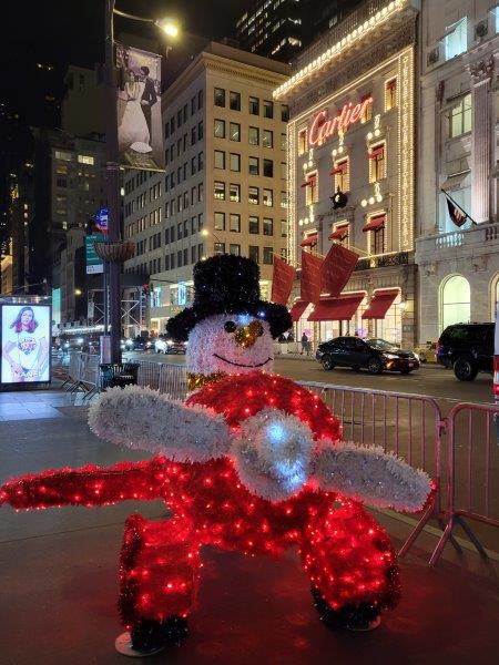 Snowman in a plane