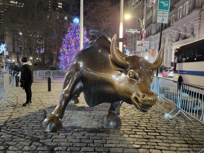 Charging Bull