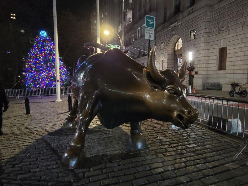 Charging Bull