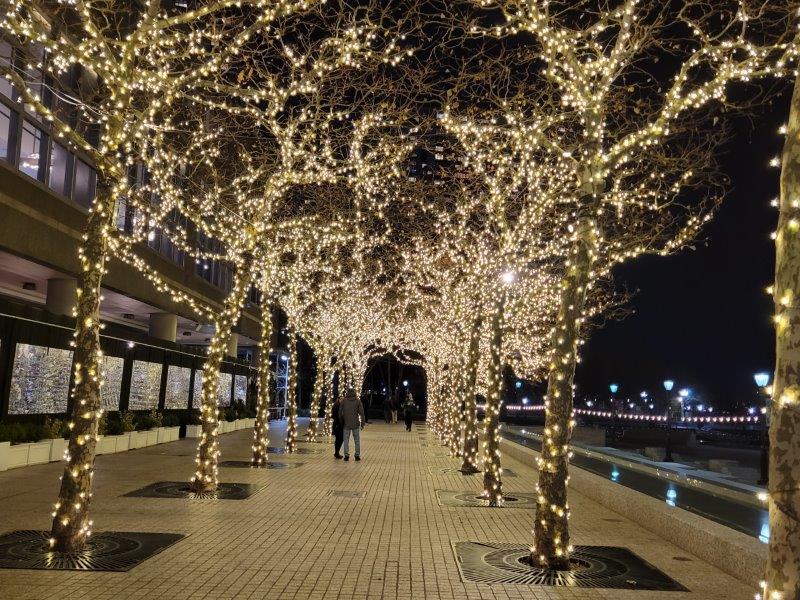 Passageway under trees