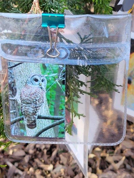 Picture of an owl in a plastic bag