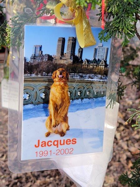 Jacques on Bow Bridge