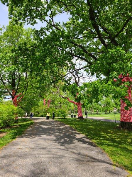 Trees covered in signature dots