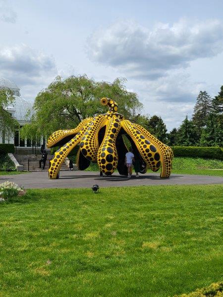 NYBG exhibit