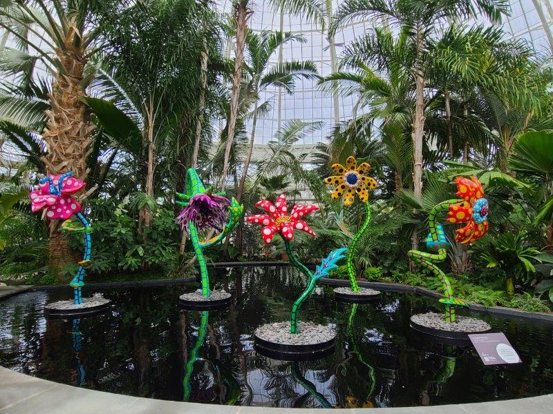 NYBG exhibit