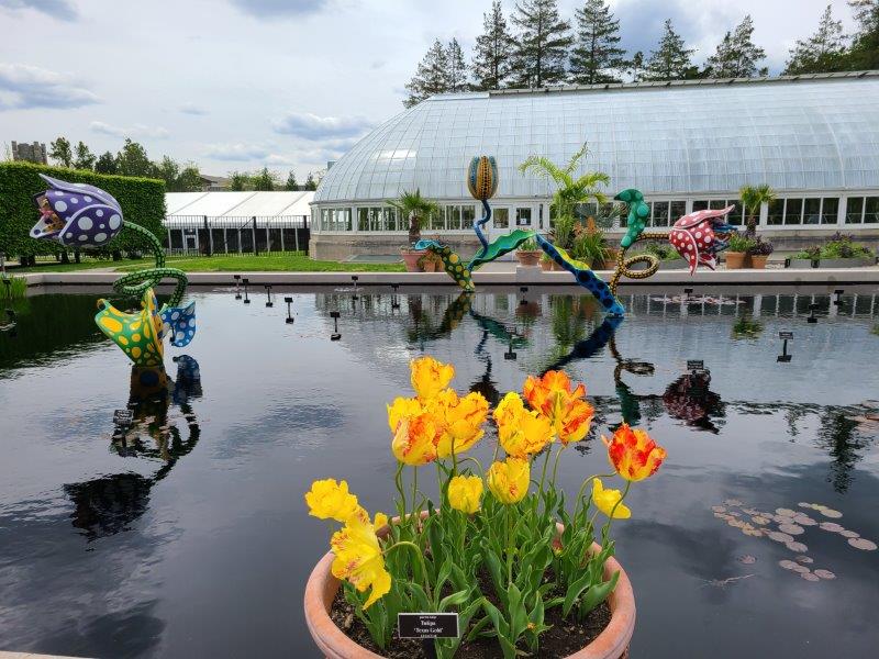 NYBG exhibit