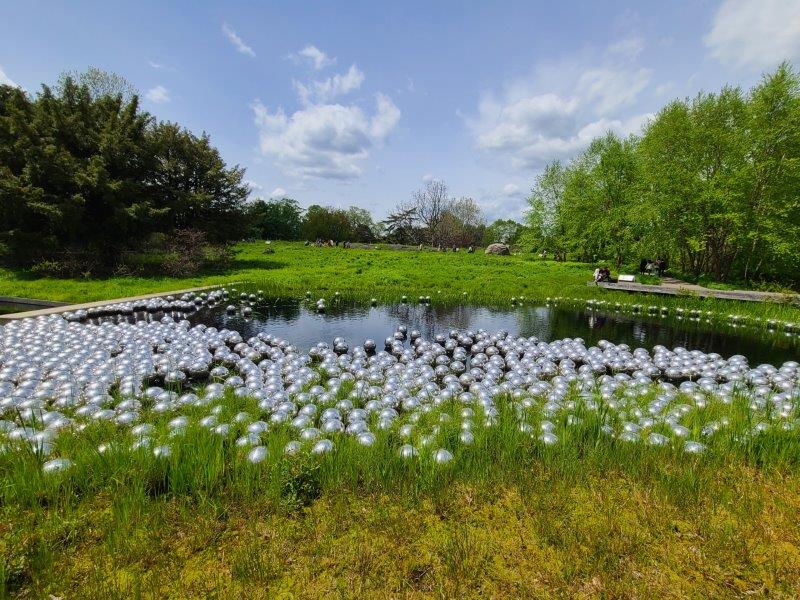 NYBG exhibit