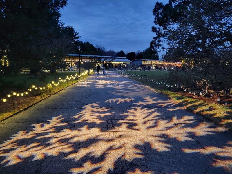 Snowflakes projected on the roads