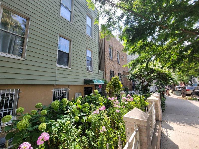 Street in Brooklyn with houses and gardens 