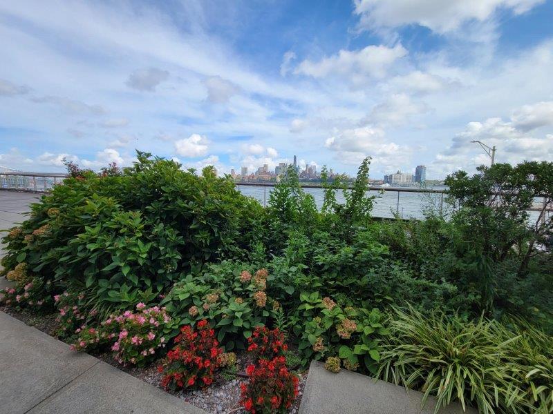 Elevated Acre hidden park in Downtown Manhattan