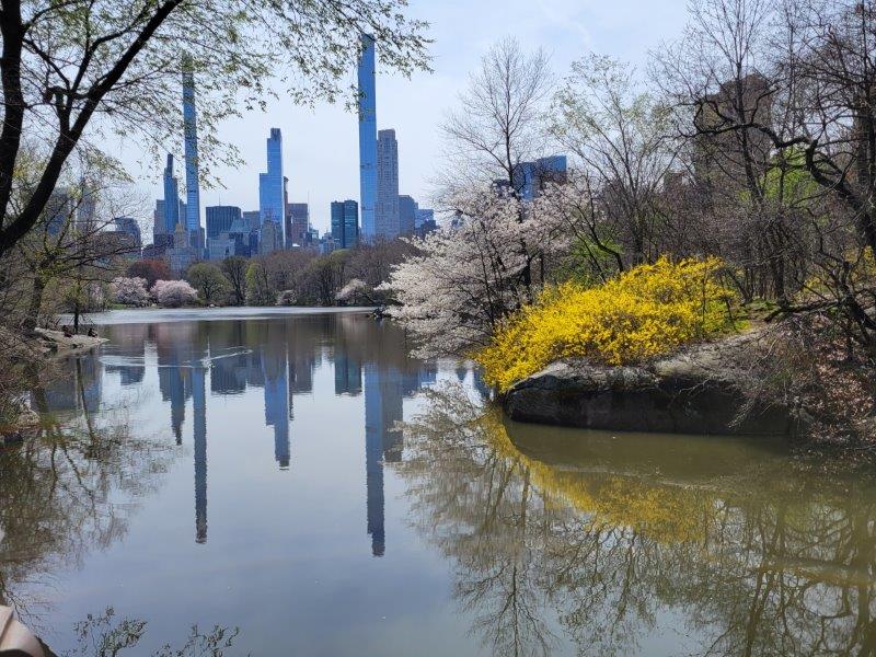 View from Oak Bridge with a reflection of the New York skyline in the Central Park lake