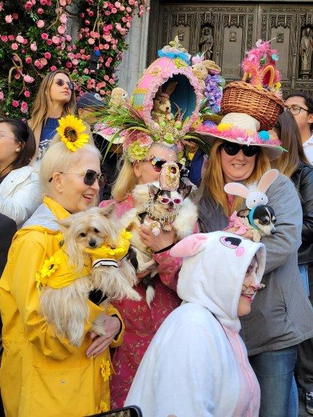 Dogs dressed up in their Easter finest