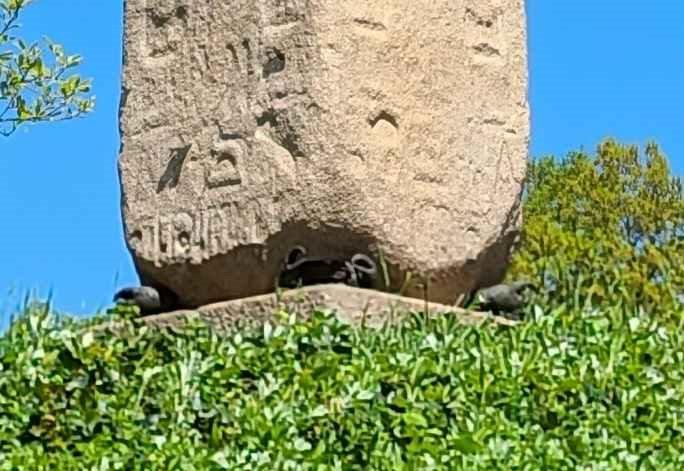 Crabs at the base of the obelisk