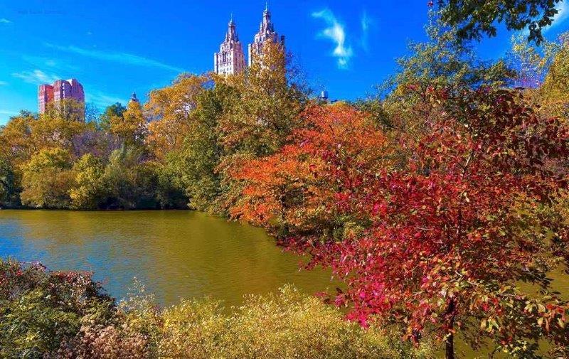 Central Park vs Hyde Park - Central Park in the fall