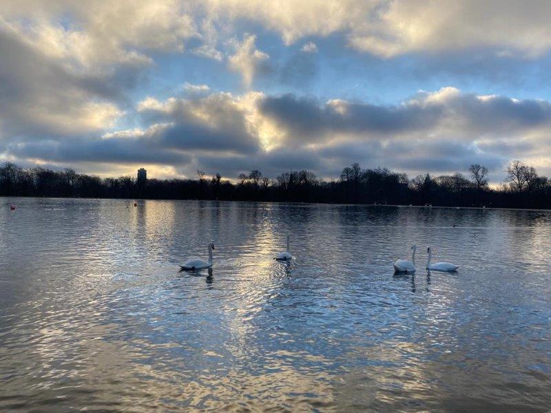 Hyde Park on a cloudy day