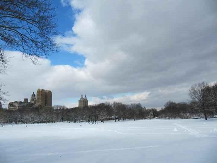Central Park in the winter