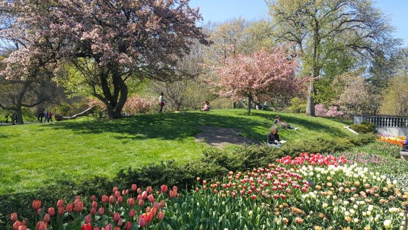 Brooklyn Botanic Garden in Kings County