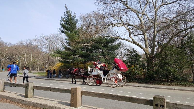 Central Park Full Loop with runners, cyclists and a horse carriage 