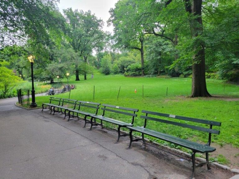 Central Park Benches - Types, Locations and How to Adopt One