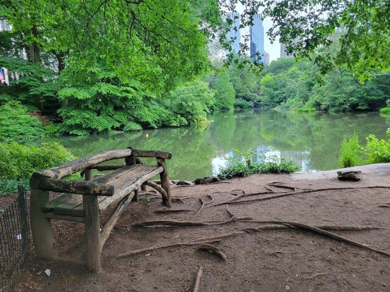 Rustic Benches at the Pond in Central Park