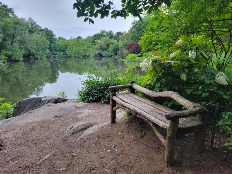 Rustic Bench at the Pond 