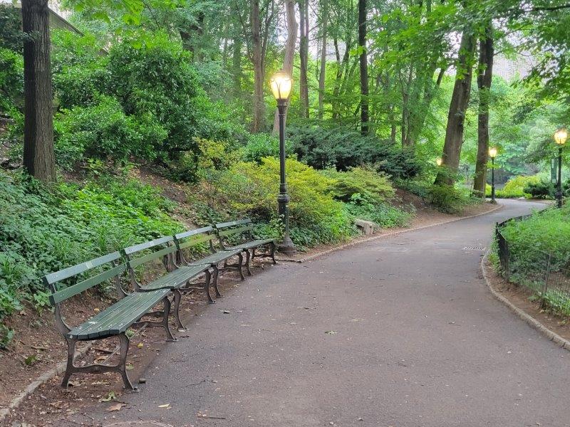 Central Park Benches - Types, Locations and How to Adopt One