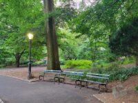 Central Park Benches