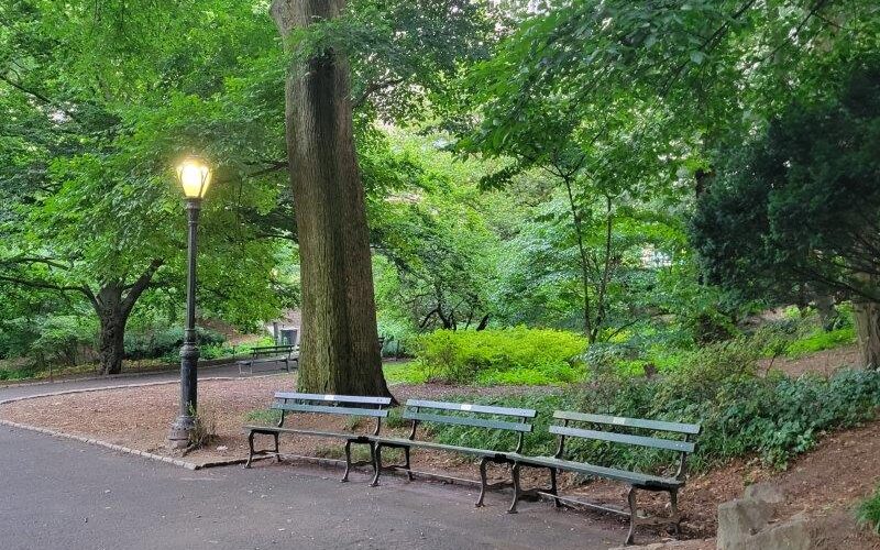 Central Park Benches