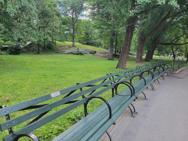 Central Park Benches - Types, Locations and How to Adopt One