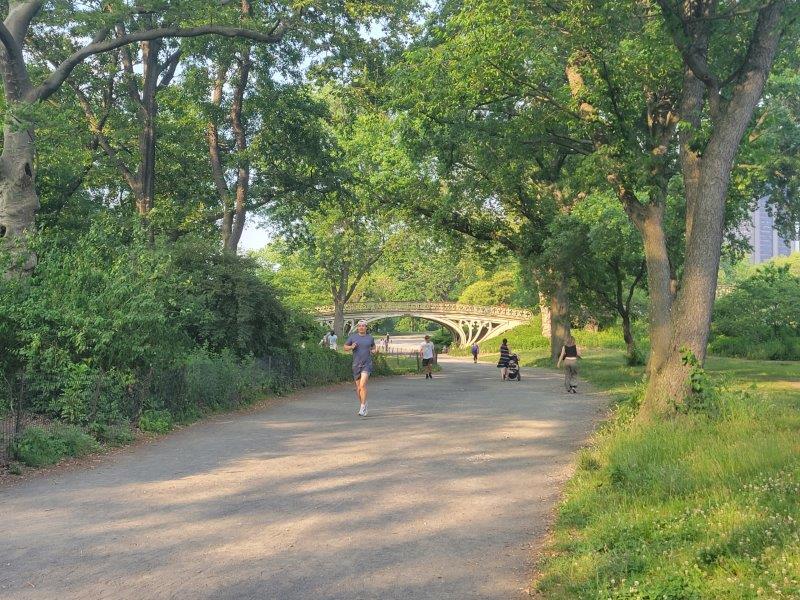 Bridle Path with a bridge in the distance