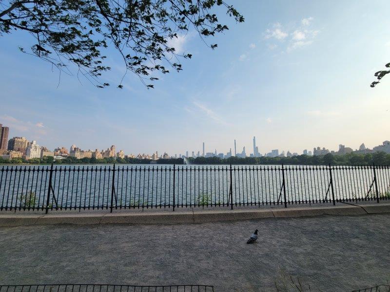 View of Manhattan Skyline from Reservoir Loop