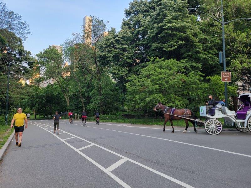 Cyclists, walkers, runners and Horse Carriages in Central Park