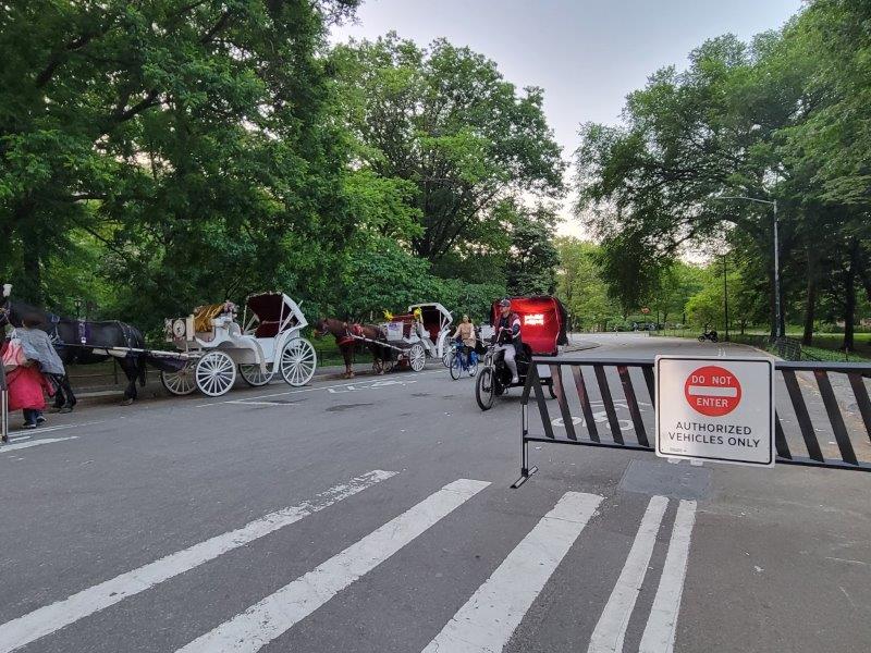 Driving in Central Park - West Drive closed to cars